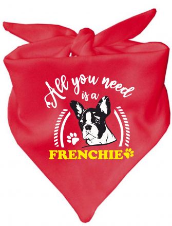 Dog triangular scarf All you need is a Frenchie