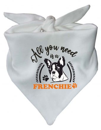 Dog triangular scarf All you need is a Frenchie